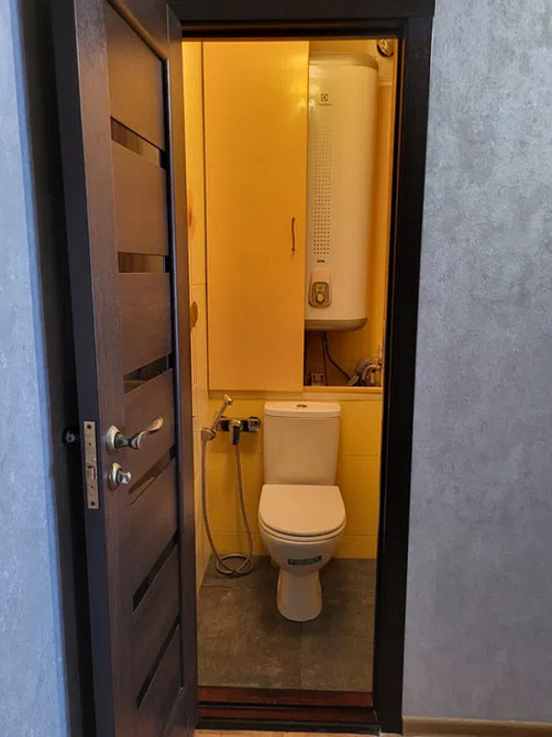 Оренда Квартира 1-кімнатна, 15/19 поверх на Драгоманова, 1к Київ - фото 16