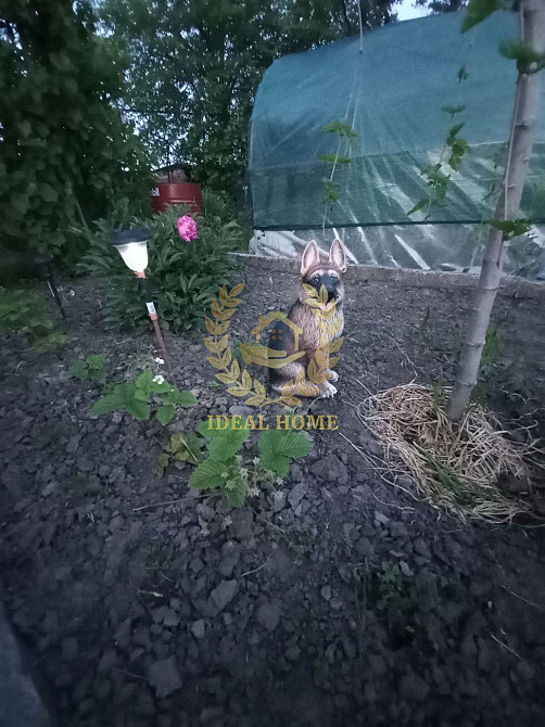 Продаж дачі в Поправкі, дачний кооператив Дружба-3 Поправка - фото 9