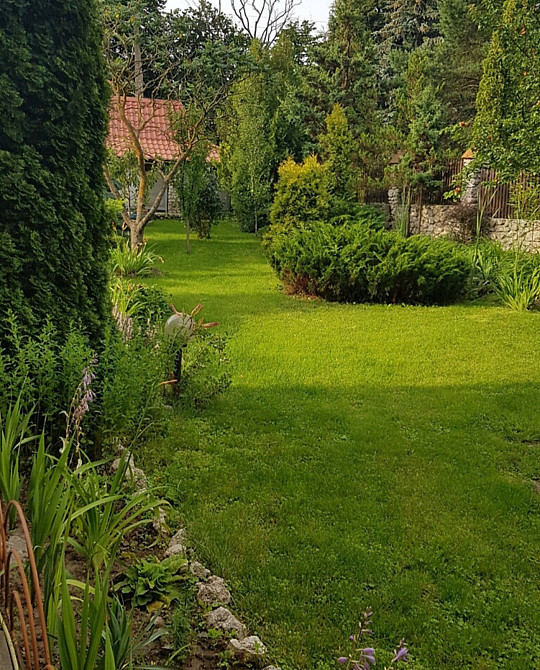 Продаж просторого будинку 540м у Петриках біля ліс  - фото 19