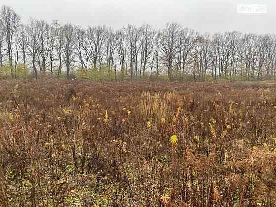 Продаж земельної ділянки 6 соток на Каденюка Вінниця