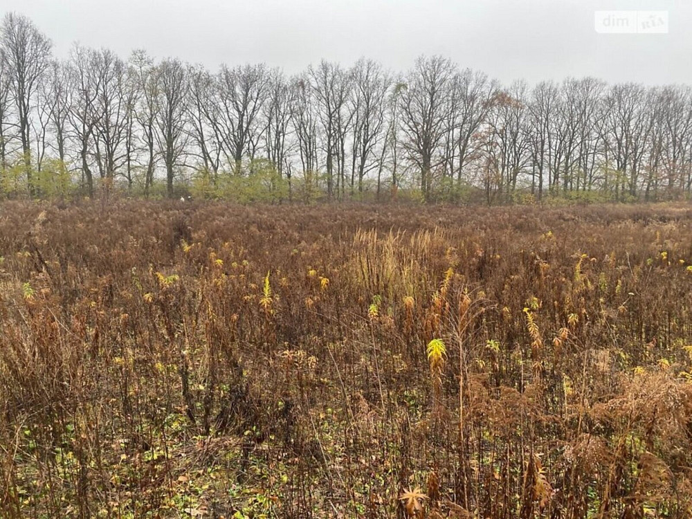 Продаж земельної ділянки 6 соток на Каденюка Вінниця - фото 1