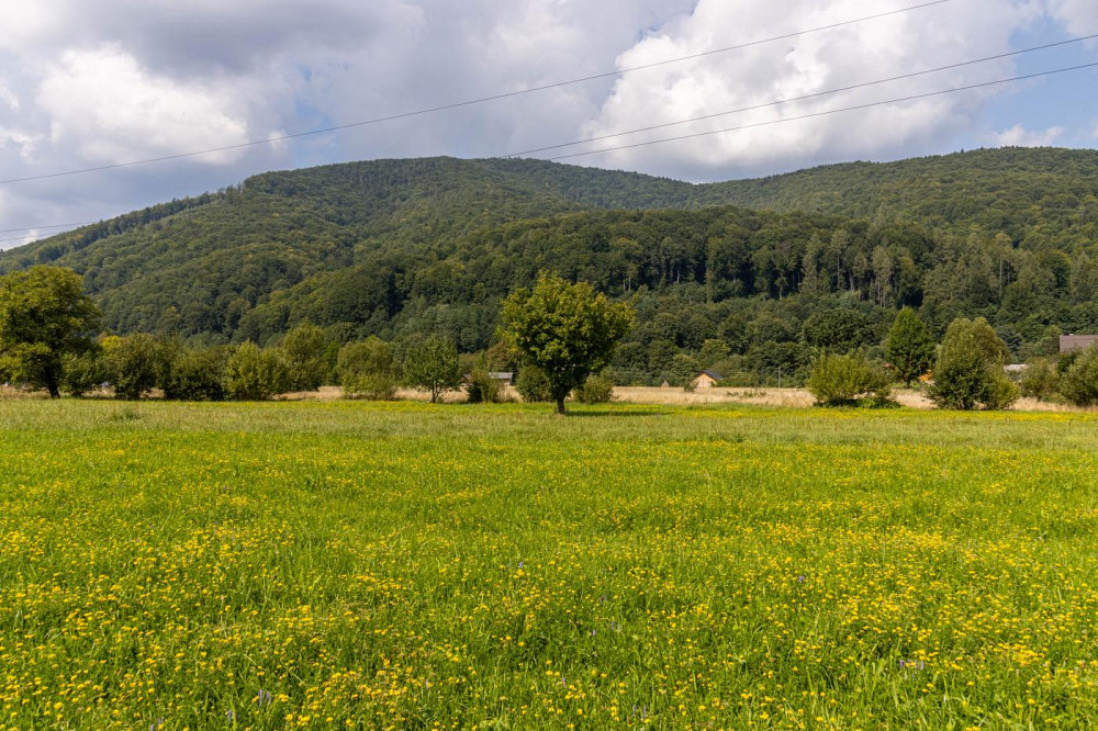 Продаж земельної ділянки 14 соток на вул. Стефаника Яремче - фото 5