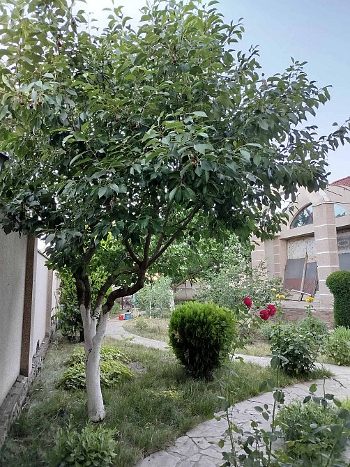 Красивый дом в Сухом Лимане. Сухий Лиман - изображение 17