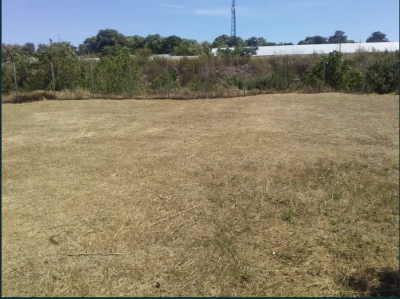 Продаж земельної ділянки 0.1 соток на КООП Свитанок, 6 Limanka