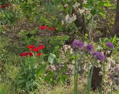 Продаж земельної ділянки 0.1 соток на СК Степное ( ул. 29-я улица), 1685 Красносилка