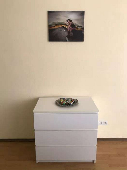 Оренда Квартира 1-кімнатна, 10/24 поверх на ул. Михаила Драгоманова Kiev - photo 3