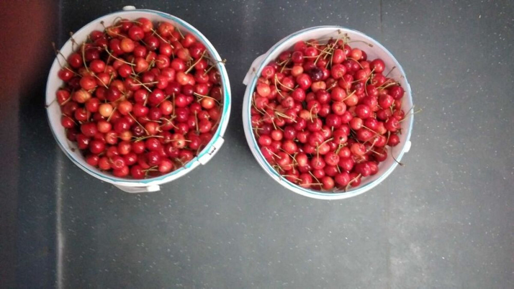 Продаж Будинок Підлужжя - фото 13