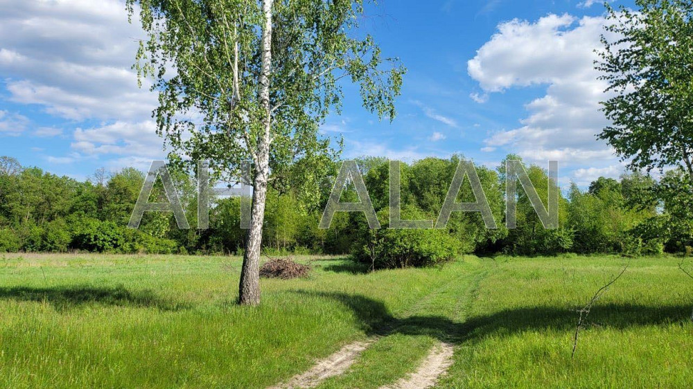 Продаж земельної ділянки 43.15 соток на вул. Лісна Таценки - фото 4