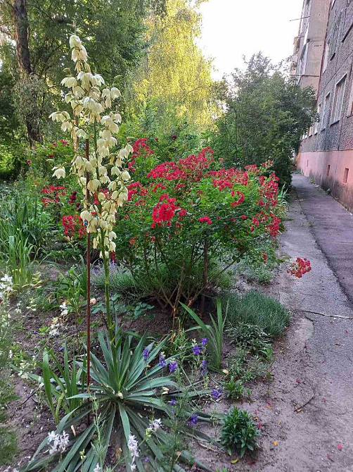 Продаж Квартира 1-кімнатна, 2/5 поверх на вул. Ціолковського Житомир - фото 12