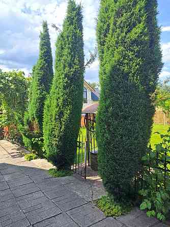 Продаж Будинок Лисець