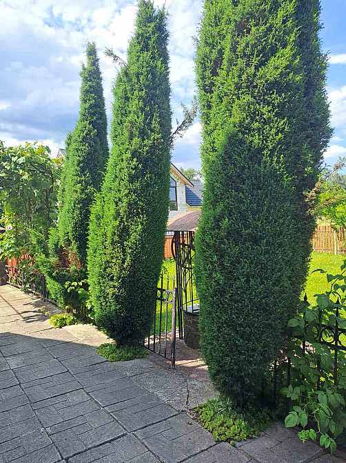 Продаж Будинок Лисець - фото 2