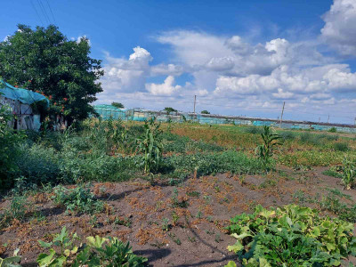 Продаж земельної ділянки 0.1 соток на ул. Лазо Сергія, 5 Велика Балка - фото 2