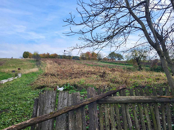Продаж будинку житлова площа 35 м.кв. — Лісова Bibrka - photo 7