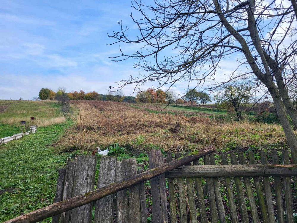 Продаж 1-поверховий Будинок з ділянкою 40 сот 60 кв.м 3 кімн. на Лісова вул. Бібрка - фото 7