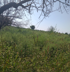 Продаж земельної ділянки 0.3 соток на ул. Молодцова-Бадаєва, 3м Нерубайское