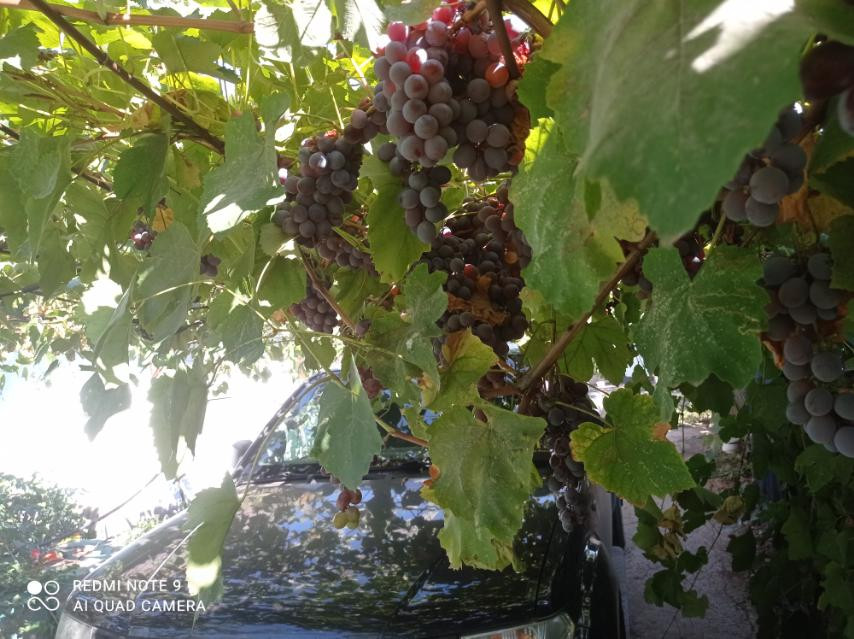 Предлагается к продаже жилой частный дом в Раздельнянском районе Перше Травня (Роздільнянський район) - фото 12