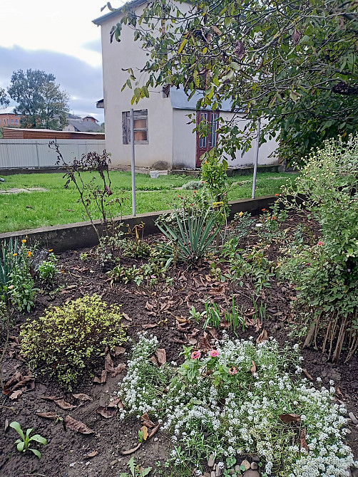 Продаж Будинок на Вільшанецька Тисмениця - фото 9