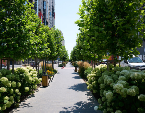 Продаж Квартира 1-кімнатна на вулиця Академика Вильямса, 93/2 Limanka