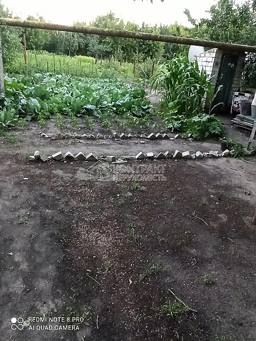 Продаж Будинок 2-кімнатний на вул. Романа Левицкого Bezliudivka - photo 5