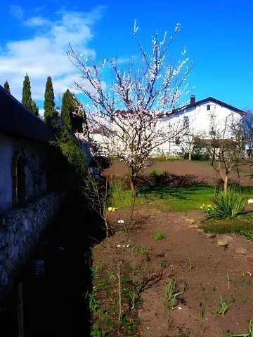 For sale 2-storey   196 sq.m 5 rooms at Шевченка вулиця 17  - photo 6