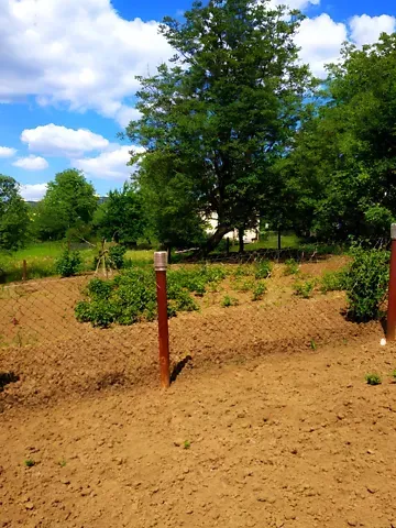 Продаж земельної ділянки  площа 6 сот Глибока Долина вулиця Тернопіль - фото 4