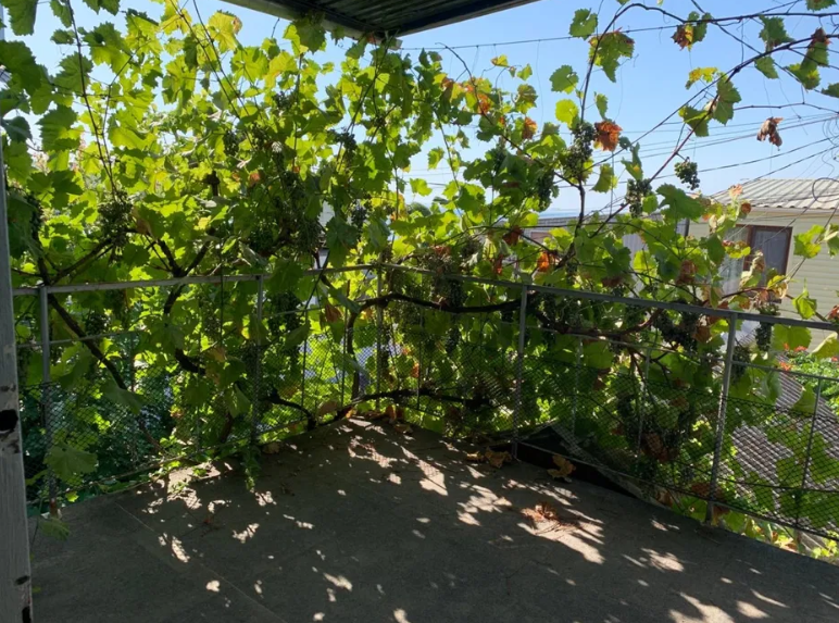 Продам курень у моря в Крыжановке (218 Причал) Крижанівка (Комінтернівський район) - фото 12