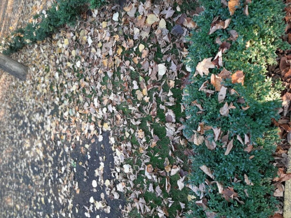 Продаж земельної ділянки 10 соток на АН Купи Дім Кропивницький - фото 1