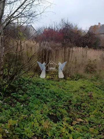 Продажа земельного участка  площадь 6 сот Зелена вулиця 1  - изображение 6