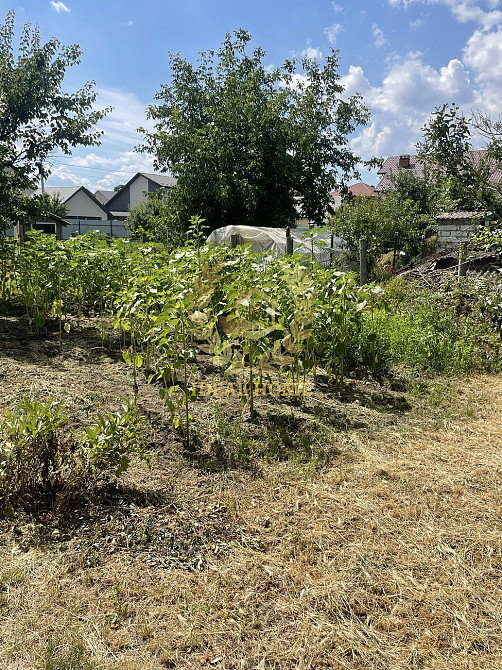 Продаж будинку у Борисполі, 4 кімнати, 75.30 м², 8 соток. Boryspil' - photo 5