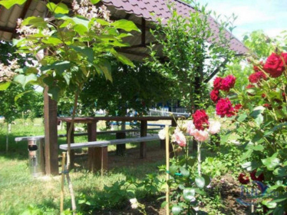 Продаж приміщення вільного призначення на вул. Польова приміщень - 111, поверх - 1/3 Грибівка - фото 6