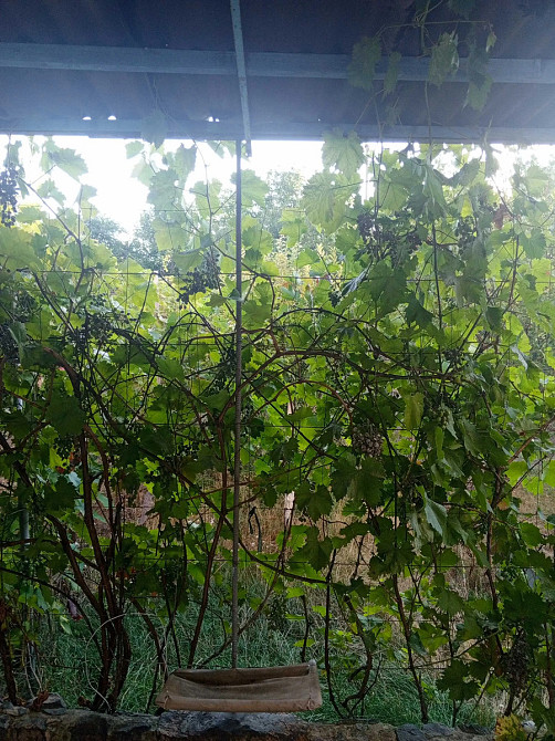 Продам 2-кімнатну квартиру з ділянкою та гаражем у с. Соколівське. Кропивницький - фото 12