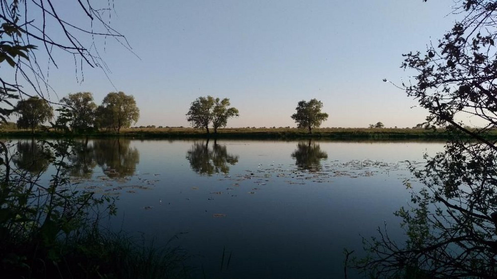 Продаж земельної ділянки 14 соток на Калинина  - фото 2