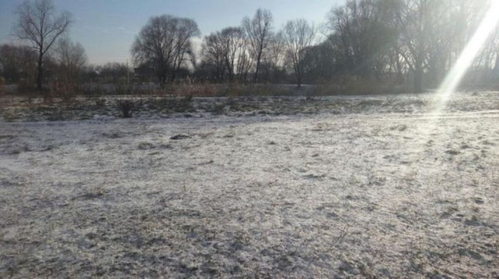 Продаж земельної ділянки 12 соток  - фото 2