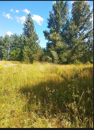 Продаж земельної ділянки 30 соток на Кольцевая ул. Ustymivka