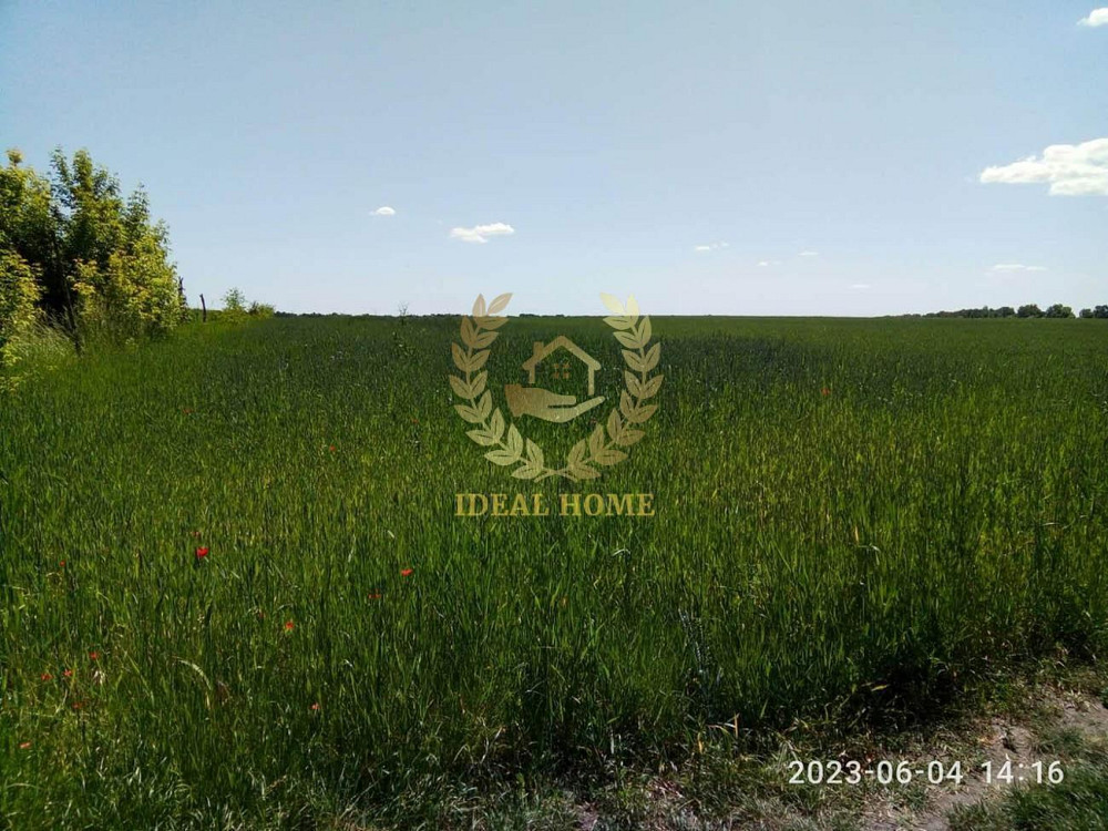 Продаж земельної ділянки 18.32 соток на Полевая ул., 27 Ustymivka - photo 1