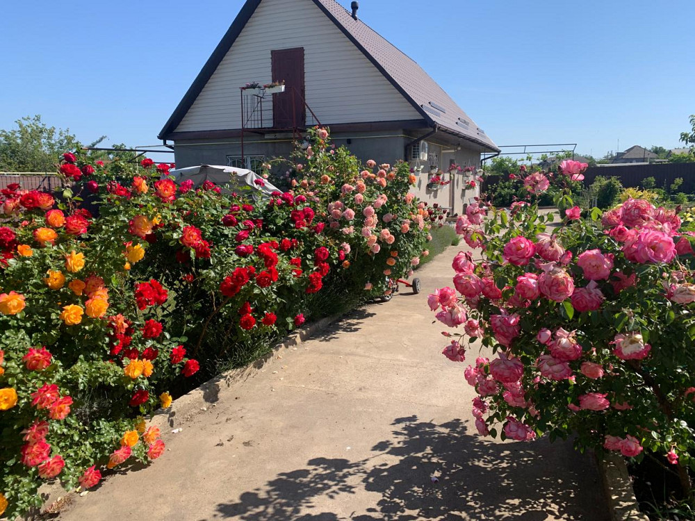 Предлагается к продаже уютный, одноэтажный частный дом в ближайшем пригороде Одессы Велика Балка - фото 19