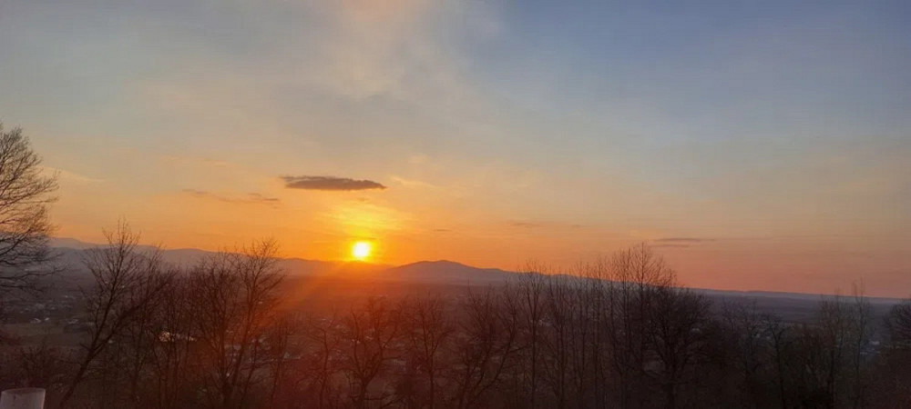 Продаж земельної ділянки 29 соток Жураки - фото 16