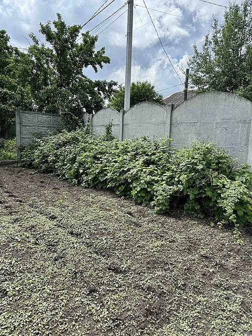 Будинок з великою ділянкою 3D ТУР Кропивницький - фото 12