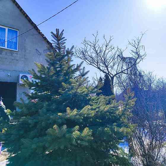 Продаж Будинок 3-кімнатний на ул. Приозерная (ул. Щорса), 31б Нерубайське