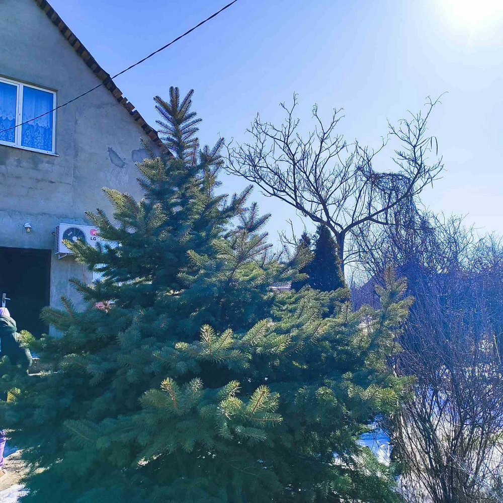 Продаж Будинок 3-кімнатний на ул. Приозерная (ул. Щорса), 31б Нерубайське - фото 3