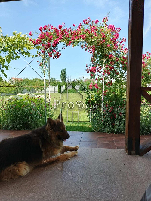 Продаж Будинок 4-кімнатний Осикове - изображение 19