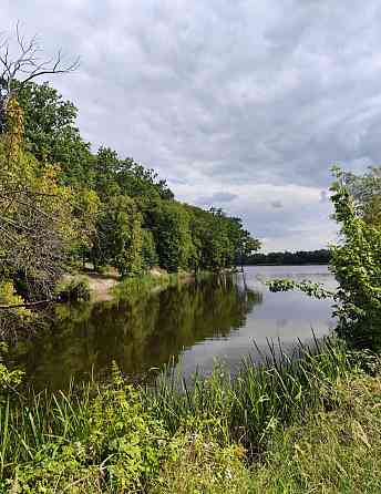 Продаж земельної ділянки 49 соток на Перлявка Zhytomyr