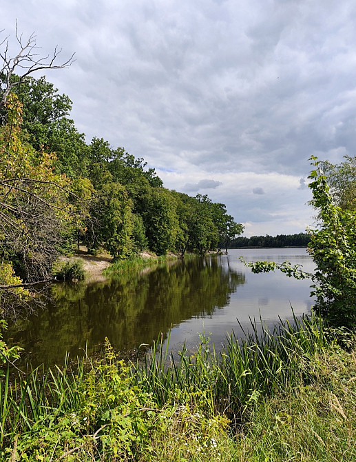 Продаж земельної ділянки 49 соток на Перлявка Zhytomyr - photo 2