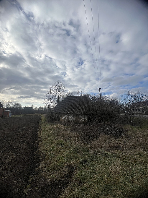 Продаж земельної ділянки 59 соток на Грушевського Хом'яківка (Снятинський район) - фото 3