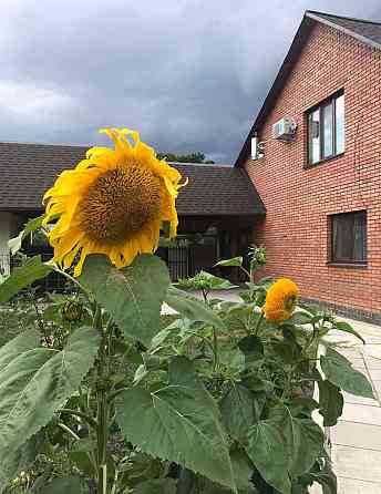 Оренда 2-поверховий Будинок  110 кв.м 3 кімн. на Скоморохи Житомир