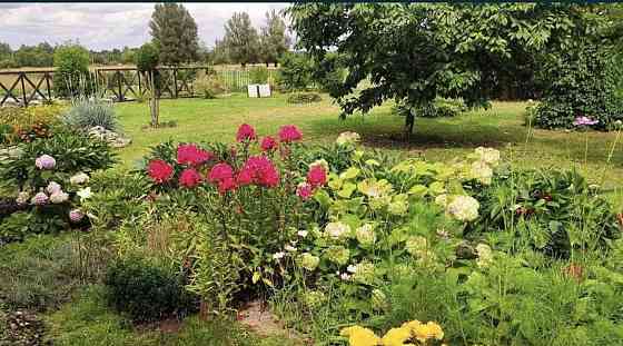 Продаж 1-поверховий Будинок з ділянкою 50 сот 92 кв.м 4 кімн. на Старий Солотвин Zhytomyr