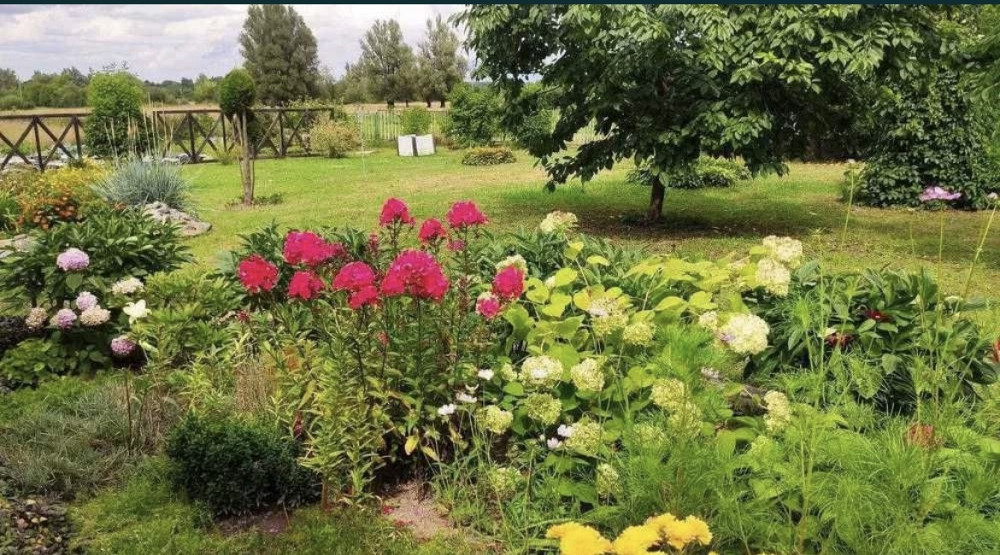 Продаж 1-поверховий Будинок з ділянкою 50 сот 92 кв.м 4 кімн. на Старий Солотвин Житомир - фото 2