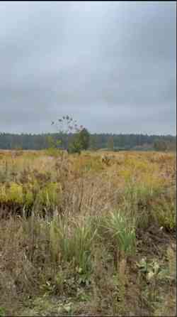 Продаж земельної ділянки 15 соток Kozlyn