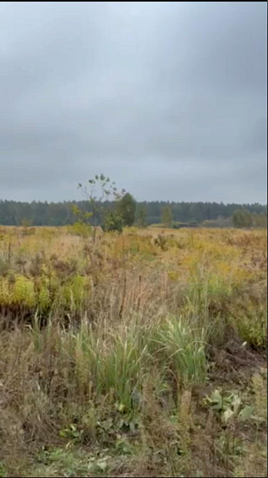 Продаж земельної ділянки 15 соток Козлин - изображение 2