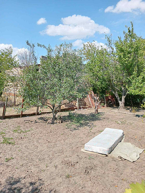 Продам дачу на берегу Хаджибеевского лимана (35 км от Одессы) Єгорівка - фото 14